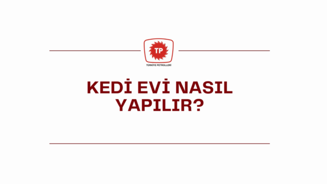 Türkiye Petrolleri – Kedi Evi Yapım Videosu