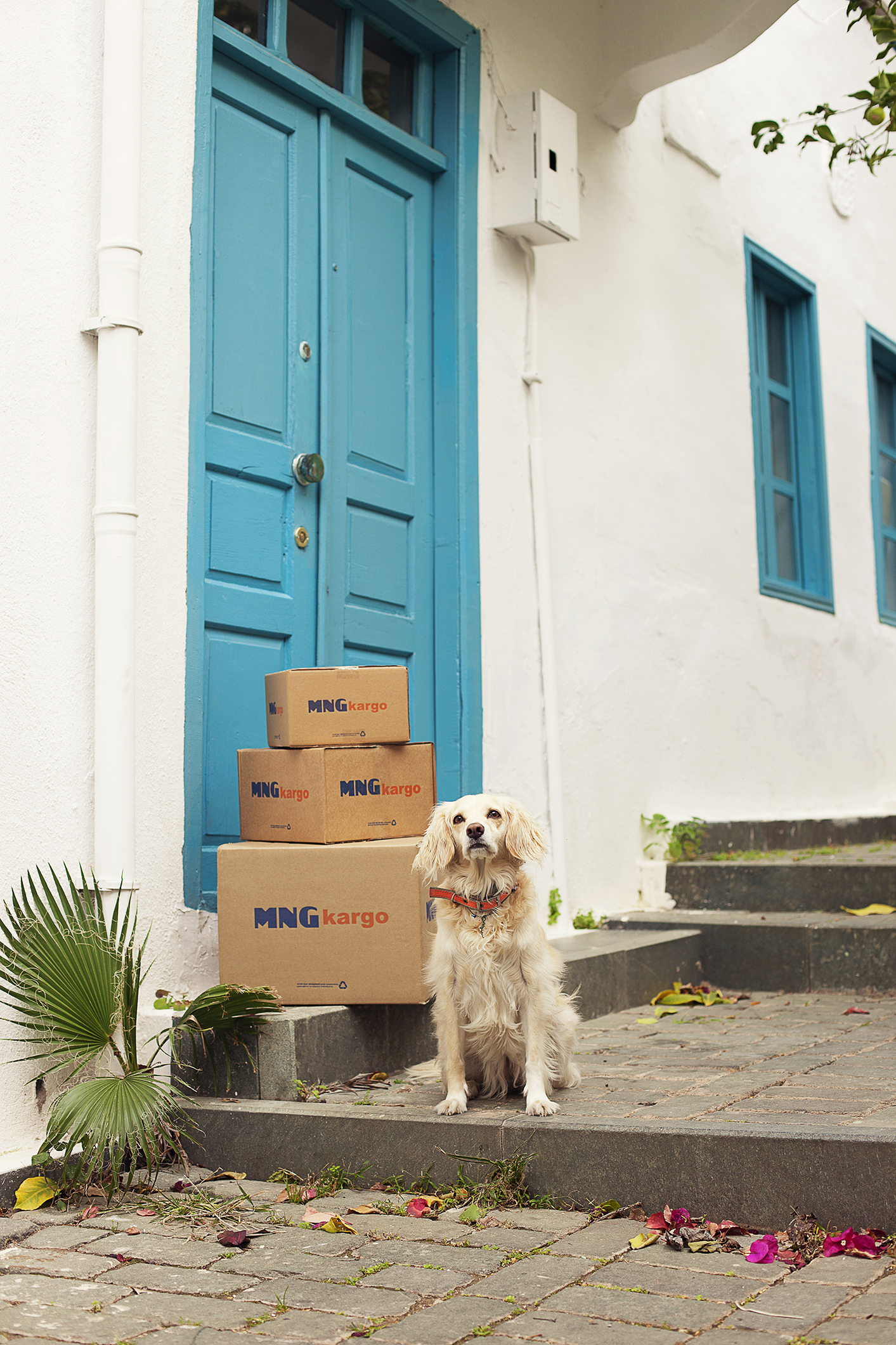 MNG Kargo – Tanıtım Fotoğraf Çekimi